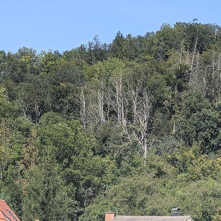 Ferienwohnung Mit Ausblick In Wimmelburg Exterior photo